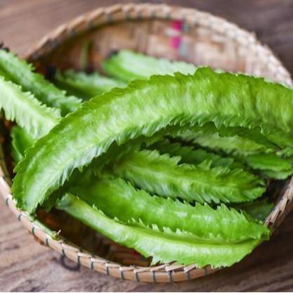 ( 1 Kg ) Benih Biji Sayuran Kecipir Lalap Kecipir Sayur Kecipir Hijau Populer