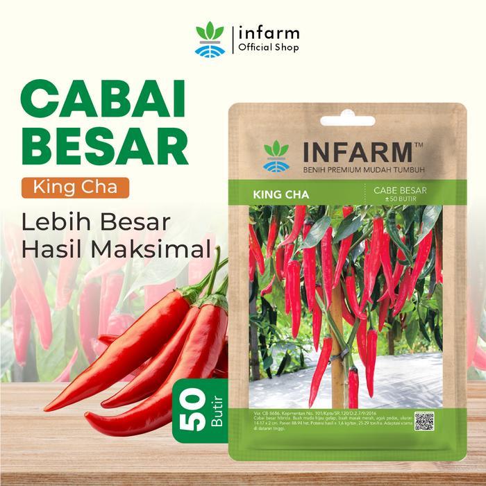 INFARM - Benih Cabai Merah Besar King Cha, Benih Unggul Cabe Merah Besar Bibit Super Cabe Merah Rasa