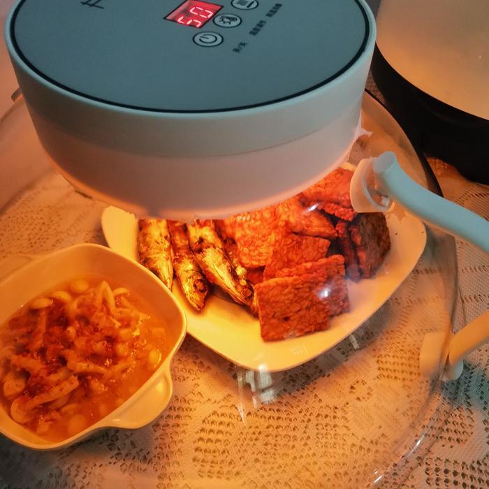 tudung saji elektrik 62cm