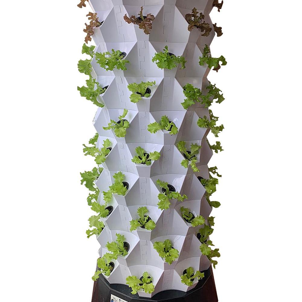 Skyplant Home Garden Complete Hydroponic System Vertical Grow Tower Kit Smart Home Automation For