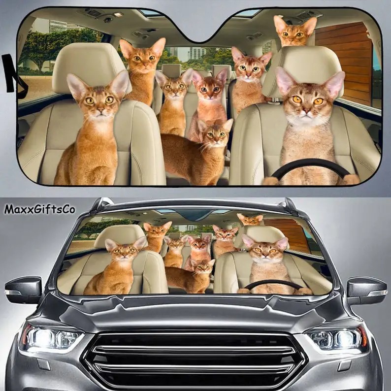 Abyssinian cat Car Sun Shade, Abyssinian cat Windshield, Cats Family Sunshade, Cat Car Accessories, 