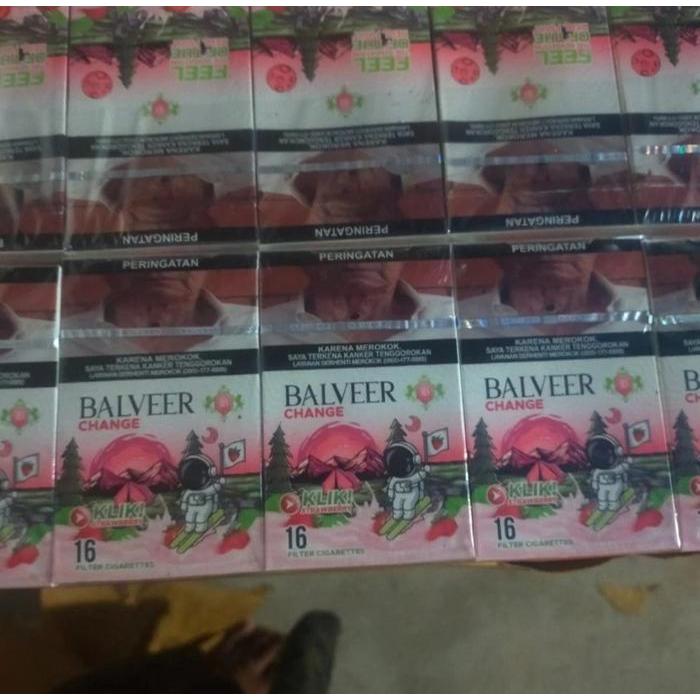 Kipas angin heatsink murah BALVIR STROBERYY terbaik