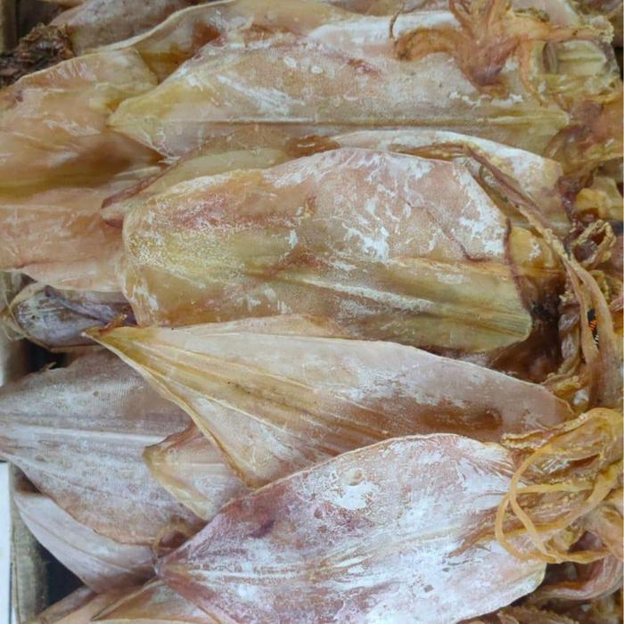 juhi kering / sotong kering no 1 500 gr Juhi Pipih