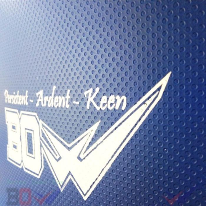 Target kotak box tameng besar dewasa pad silat karate taekwondo Falcon