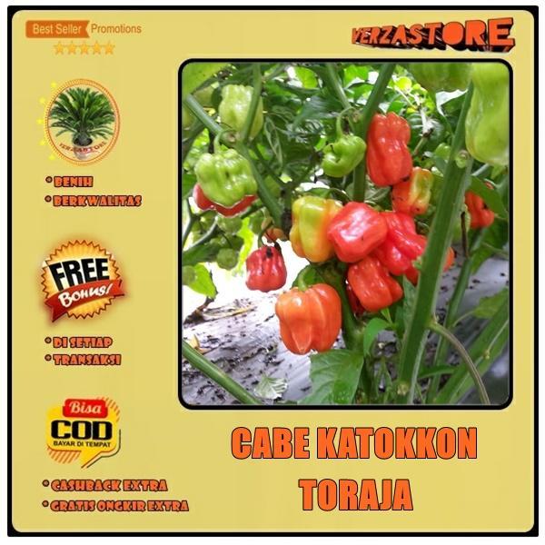Biji Benih Bibit Cabe Katokkon Toraja /5 biji