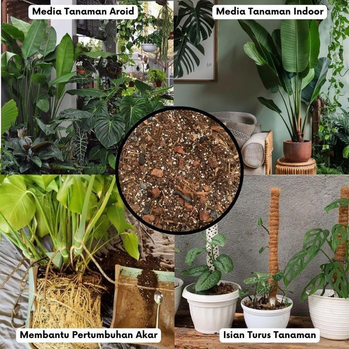 Aroid Mix - Media Tanam Aroid Premium Tanaman Hias Monstera Philo dll