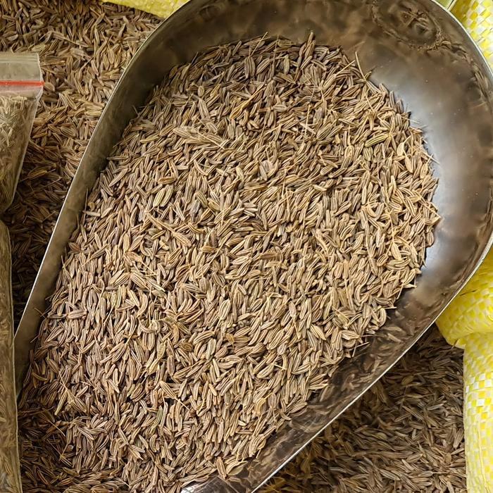 Jintan / Jinten Masak 500gr - Jintan Putih