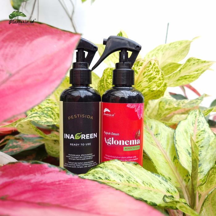 Bundling Hemat Pupuk Aglonema 250Ml+Pestisida 250Ml Berkualitas Daun Tanaman Populer