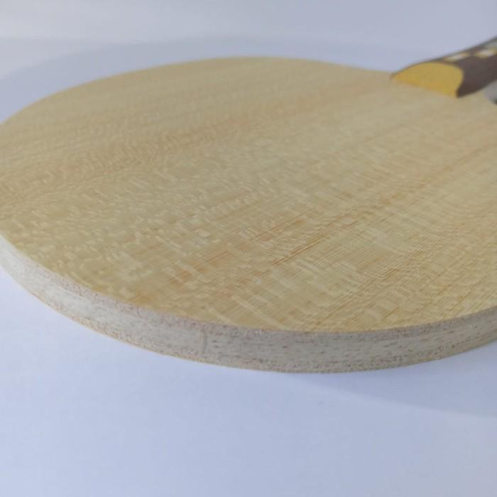 Donic Cayman / Bet Tenis Meja Pingpong