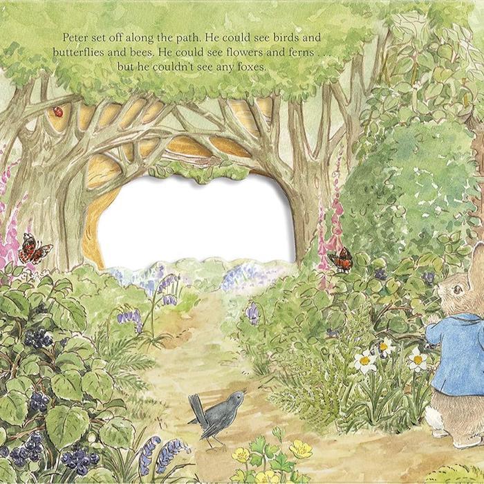 Kidnedu Buku Peter Rabbit Collection / Buku Cerita Peter Rabbit untuk Anak / Buku Import