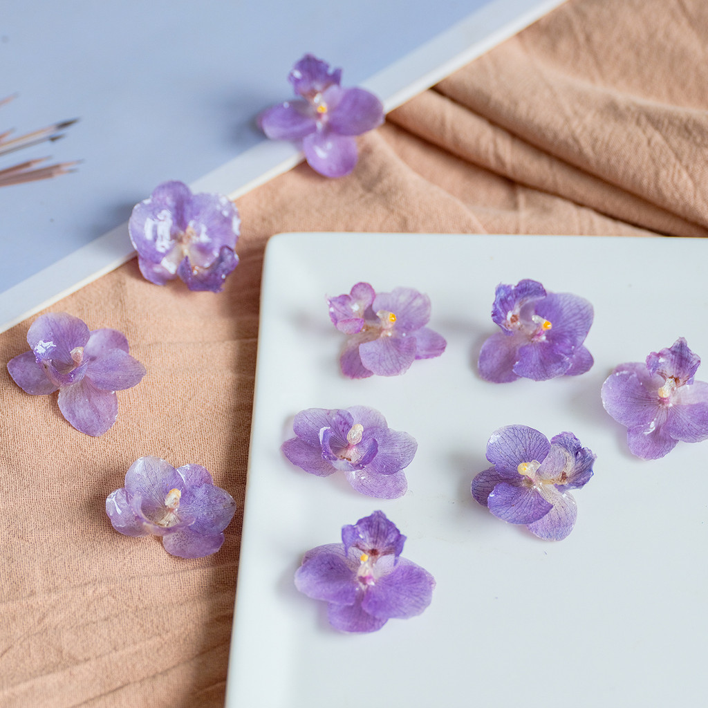 4pcs Purple Butterfly Orchid Real Flower Drip Gel Dried Flower DIY Bridal Earrings Wreath Bracelet