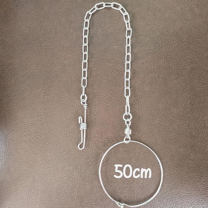 Rantai Burung Parrot Macaw + Ring kaki Omega