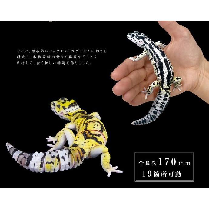 [BANDAI] GASHAPON PREMIUM ADVANCE LEOPARD GECKO - SNOW BOLD STRIPE