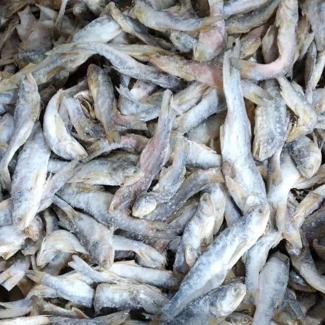 IKAN ASIN SINANGIN 500