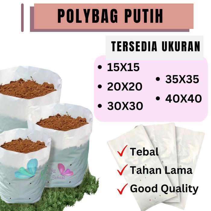 RAJA INDO BEKASI 10PCS Polybag Tanaman Polibag PUTIH Tebal Kecil Sedang 10x12 15x15 20x20 25x25