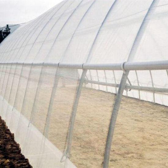 Jaring Insect Net Green House Per Meter. Lebar 3 Meter Mesh 40 Populer