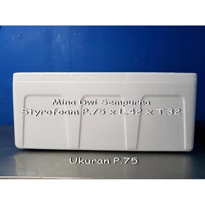 New - Styrofoam Box 30Kg-35Kg / Sterofoam Ikan Beku & Daging Beku/ Cool Box