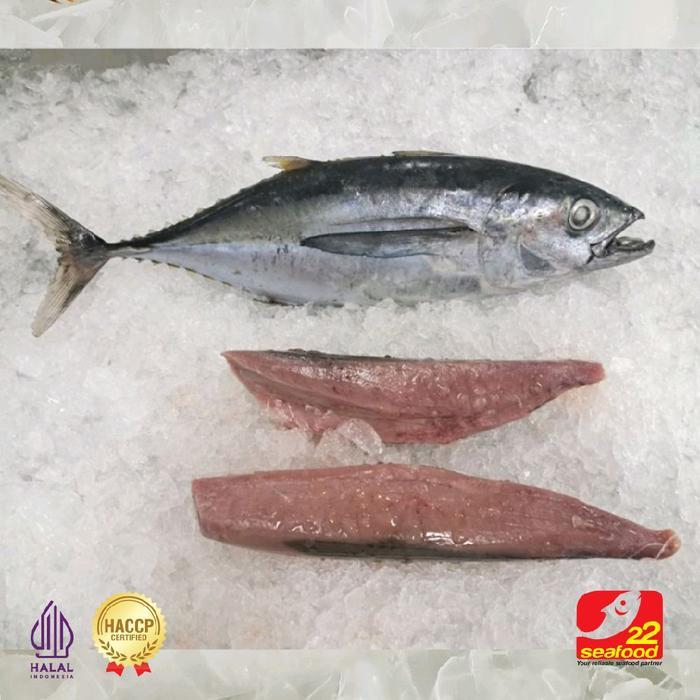 Ikan Baby Tuna Loin 1 kg / Export Quality /Ikan Size JUMBO / 22 Seafood Frozen