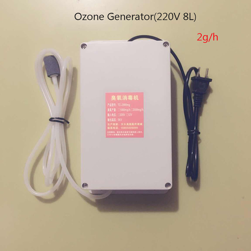 2000Mg/Jam Mesin Generator Ozon Desinfeksi Pembersih Pensteril Air Udara Rumah untuk Minyak Buah Say
