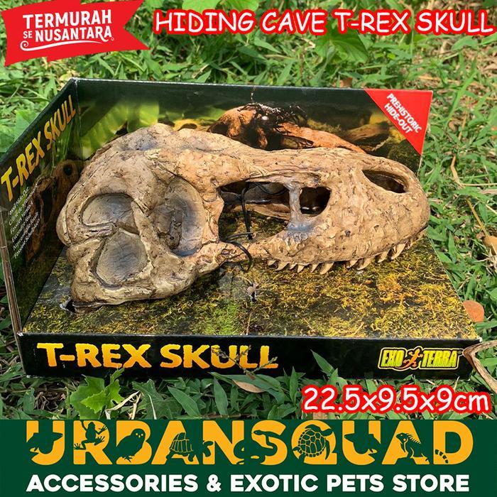 Exoterra T-Rex Skull Hiding Cave Laba Laba Kadal Tegu Bearded Dragon