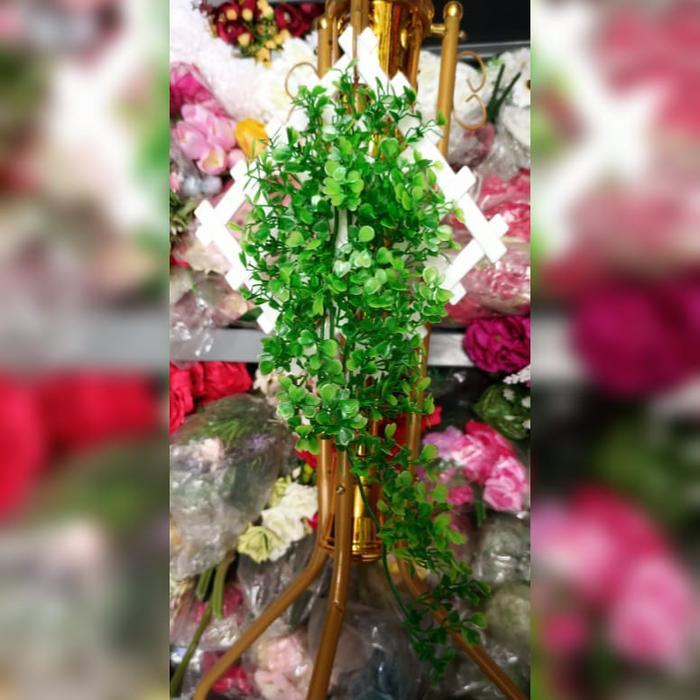 rambat oxselia bunga hias rambat dinding/tanaman hias/bunga hias dinding Plastik