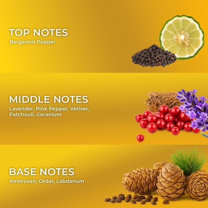 Dasfelix Summer Fighter - Extrait de Parfum - Parfum Pria Tahan Lama - Aroma Segar Citrus