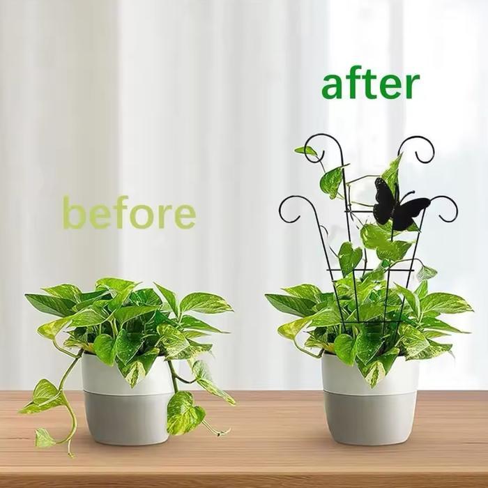 Teralis Hitam Penyangga Tanaman Rambat Kebun Taman - Fan Trellis Metal Plant Support Stake Stand