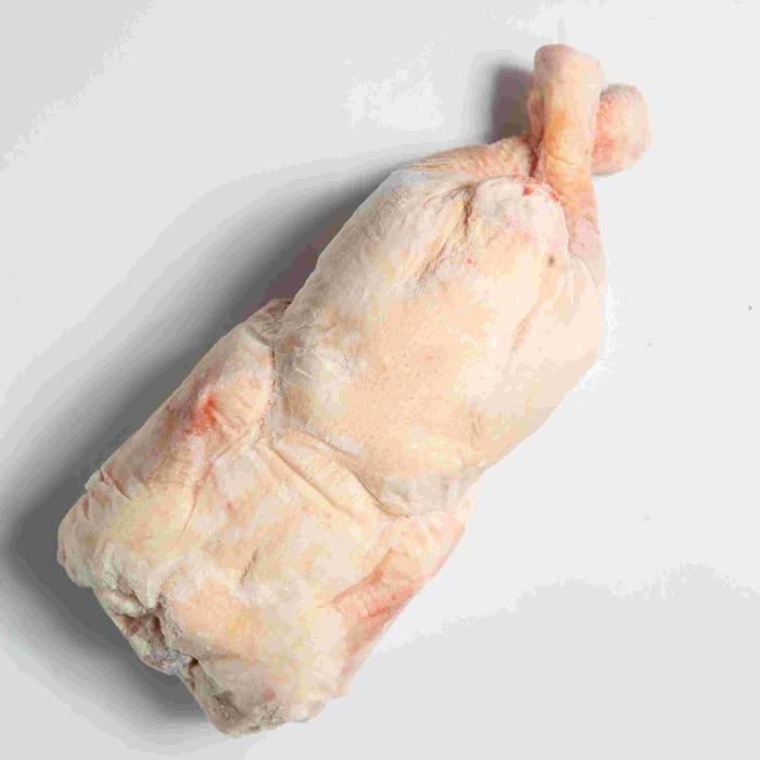 ayam broiler frozen 1,2kg up/ayam frozen/ayam potong/ayam broiler