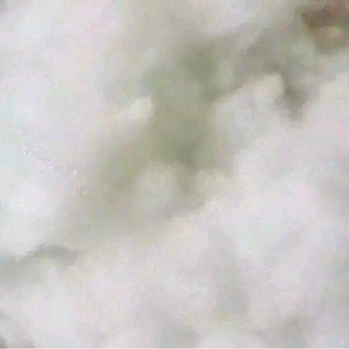 "New" COD silikon/ Dakron super Brendis kemasan 1kg (1000 gr) kualitas grade A super Lembut Bed