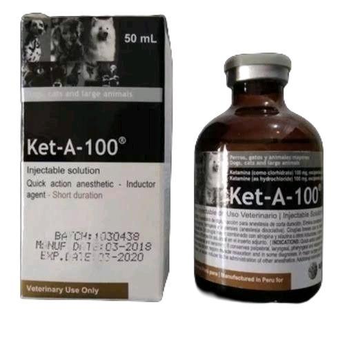 KET A 100 ANESTESI 50 ML OBAT HEWAN