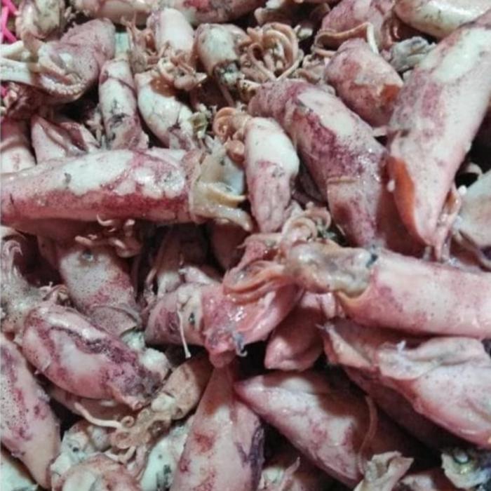 SIAPKIRIM Ba Cumi Asin Kering Asli Tuban Food Goreng Pedas READY STOCK