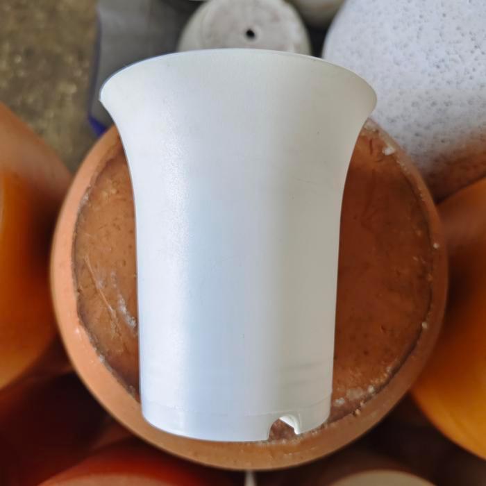 Pot Sanse NKT 8 Putih / POT KAKTUS / POT BUNGA TGG / Pot Mini