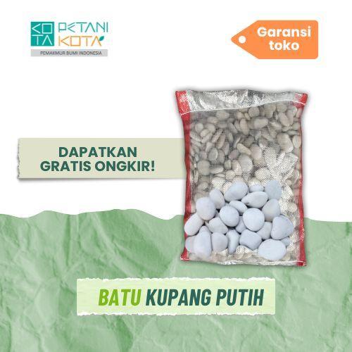 Batu Putih Sebesar Koin 500an Karungan +- 11 kilo