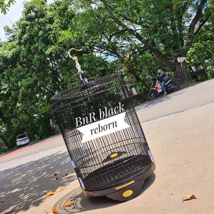 BnR murai REBORN Gratis Ongkir