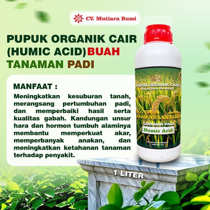 Najwa Gadget Pupuk Daun & Buah Padi Pupuk Booster Padi Pupuk Organik Cair Humic Acid Tanaman Padi