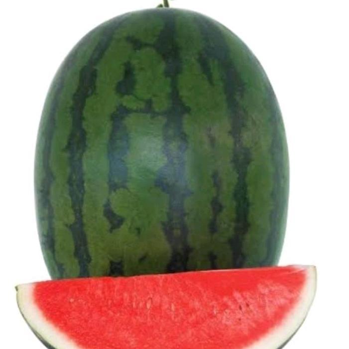 Serasiinspace Benih Semangka Non Biji Seri F1 20 Gram Bintang Asia