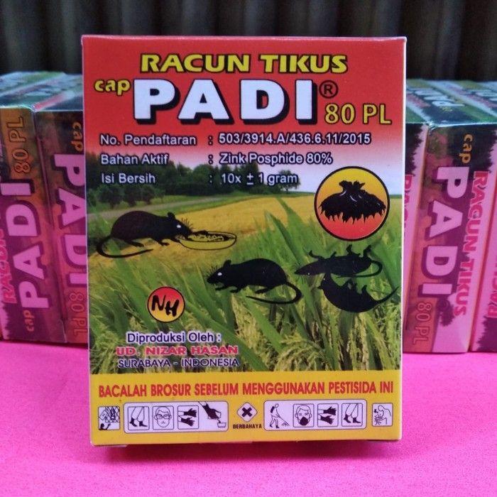 "New" Racun Tikus Cap Padi Sangat Ampuh Mati Seketika