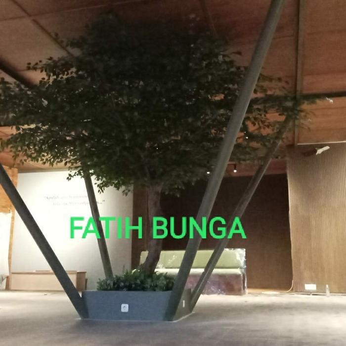 POHON BERINGIN/POHON HIAS PLASTIK/POHON HIASAN CAFE/TANAMAN HIAS