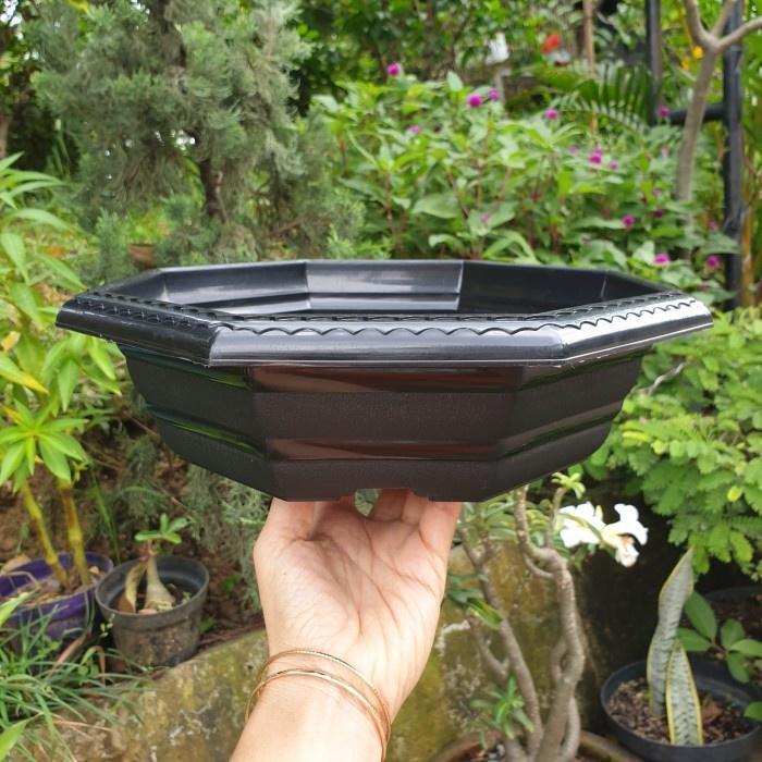 "New" Pot bunga plastik Bonsai SANTIGI 30 Pot bulat Pot ceper Pot murah