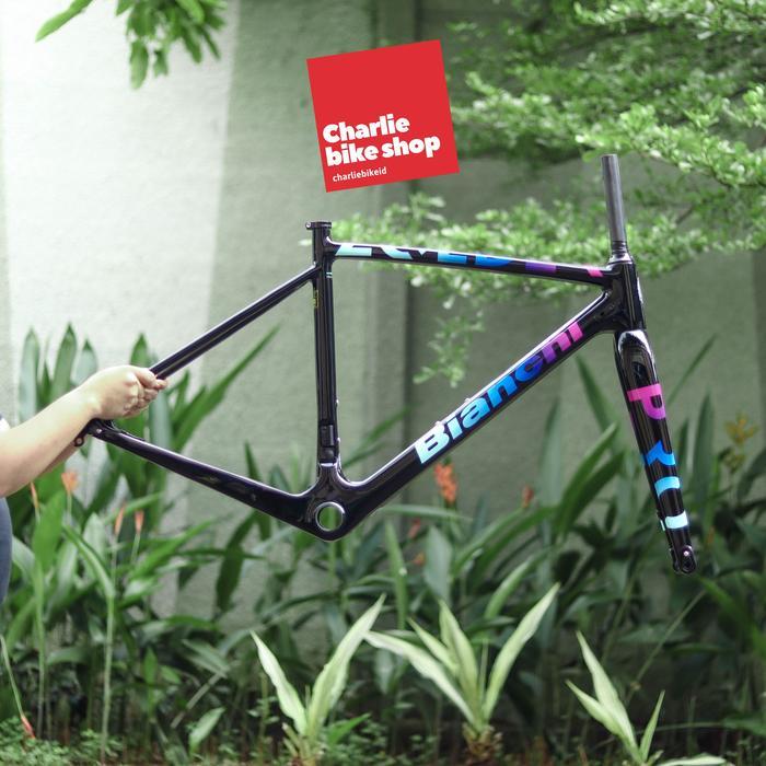 Frame Bianchi Zolder Pro - Size 50