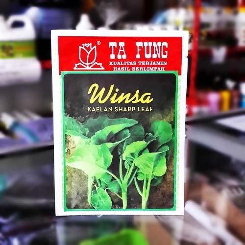 :=:=:=:=] Benih Kailan Kaelan Winsa 20 gram Ta Fung