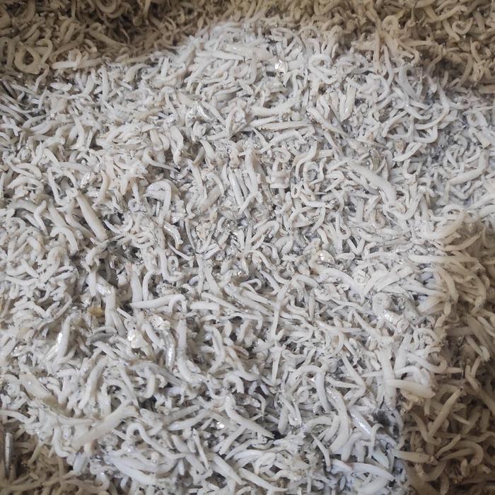 ASLI Teri Medan Putih Halus 1 KG Kering Gurih Lembut Halal Tanpa Pengawet untuk Kering Teri Botok