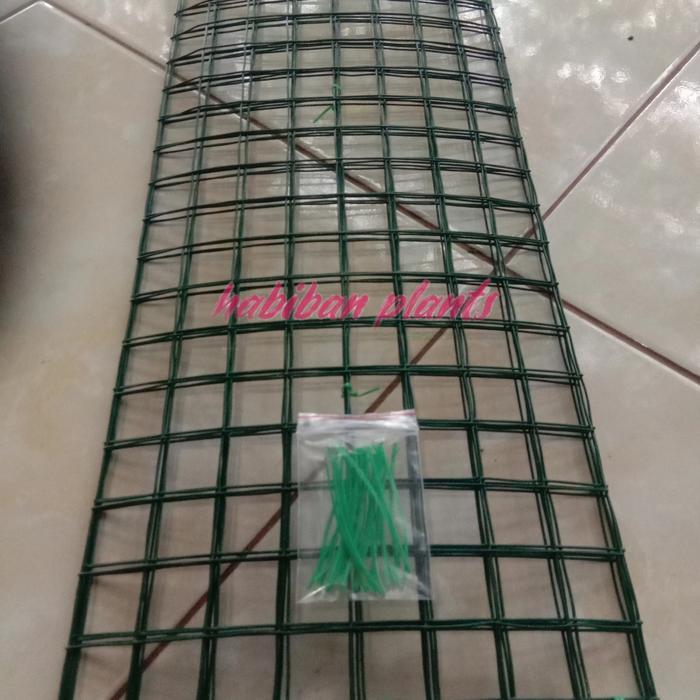 Rambatan tanaman kawat anti karat