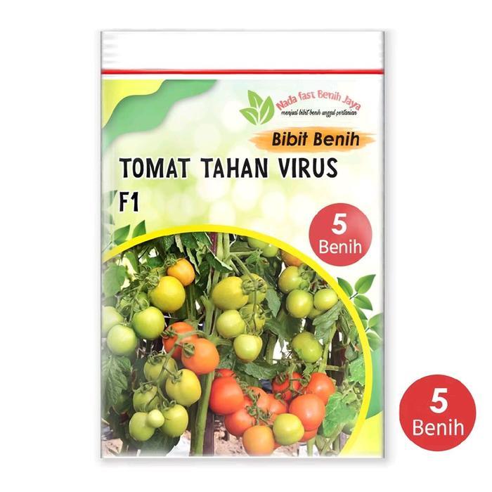 Growterra Farm 3 BIJI BENIH TOMAT SERVO - BIBIT TOMAT SERVO