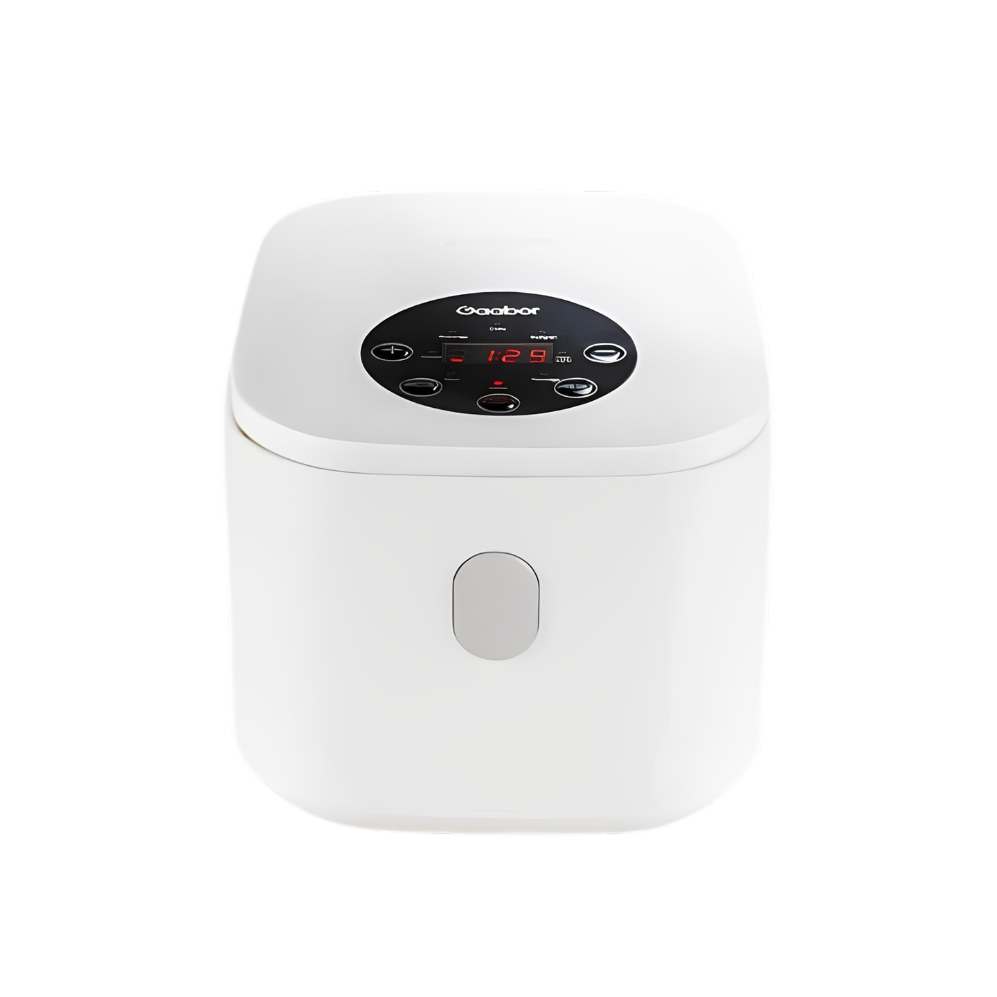 [GIFT] Gaboor Digital Rice Cooker
