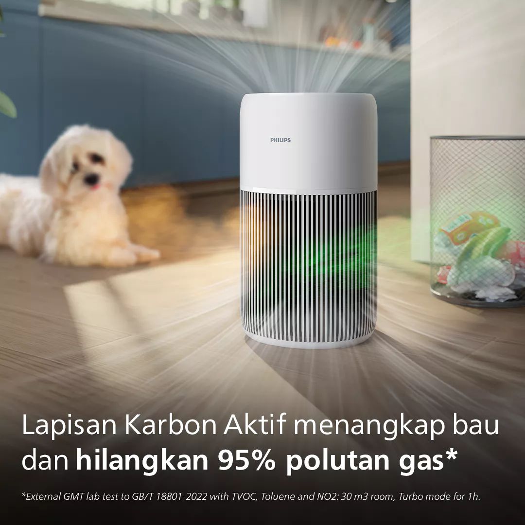 [GIFT] GIFT B - Philips Air Purifier Full - PC