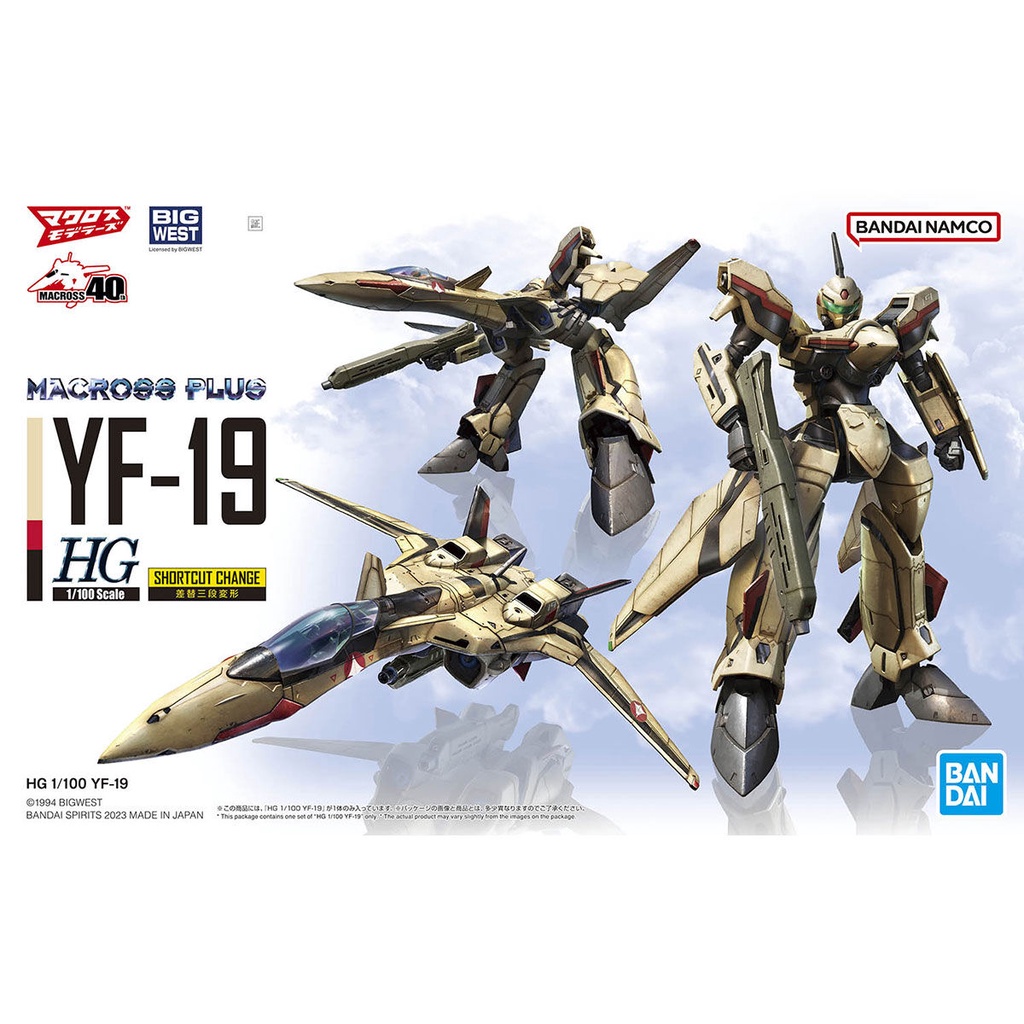 HG MACROSS PLUS 1/100 YF-19