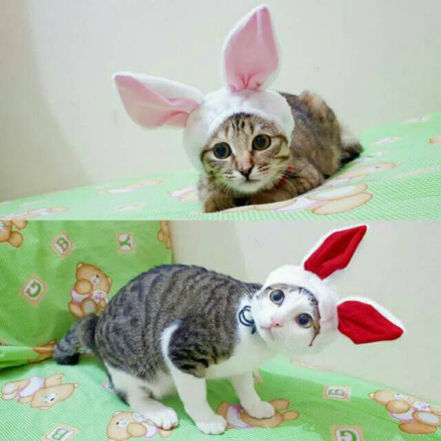 Topi Kelinci Untuk Kucing Dan Anjing Kostum Kucing Lucu Baju